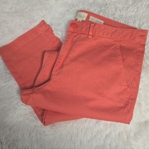 Anthropologie Coral Relaxed Chino Pants Size 31